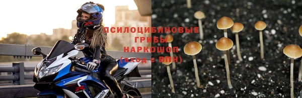 трава Алексеевка