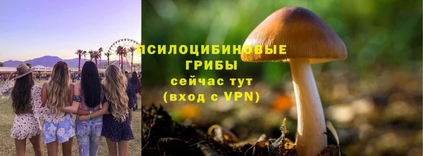 таблы Алзамай